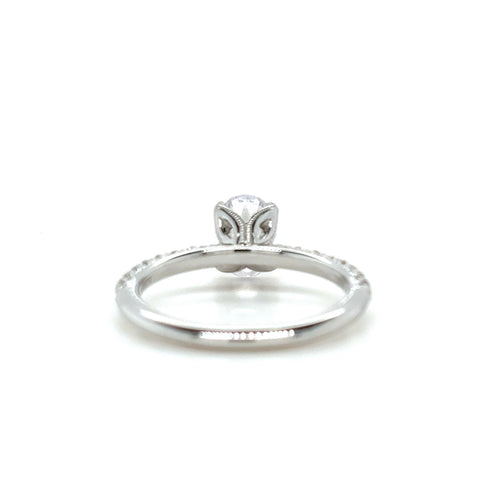 PCJSM0208EC100 Pave 360 Solitaire - 1.00ct